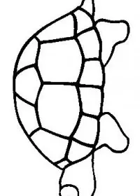 Fisă de colorat cu Animale broaste testoase de colorat p04