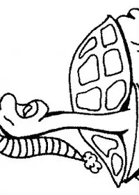 Fisă de colorat cu Animale broaste testoase de colorat p06