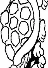 Fisă de colorat cu Animale broaste testoase de colorat p13