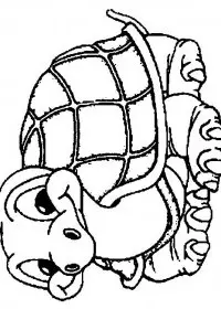 Fisă de colorat cu Animale broaste testoase de colorat p18