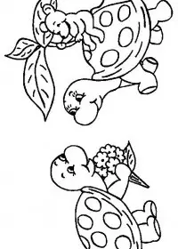 Fisă de colorat cu Animale broaste testoase de colorat p24