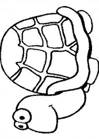 Fisă de colorat cu Animale broaste testoase de colorat p26