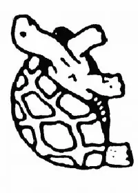 Fisă de colorat cu Animale broaste testoase de colorat p29