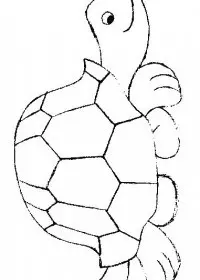 Fisă de colorat cu Animale broaste testoase de colorat p30