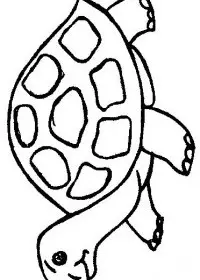 Fisă de colorat cu Animale broaste testoase de colorat p32