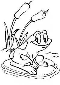 Fisă de colorat cu Animale broscute de colorat p06