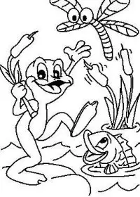 Fisă de colorat cu Animale broscute de colorat p07