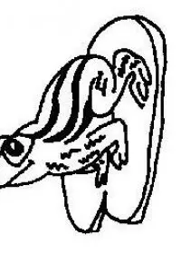 Fisă de colorat cu Animale broscute de colorat p10