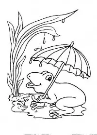 Fisă de colorat cu Animale broscute de colorat p102