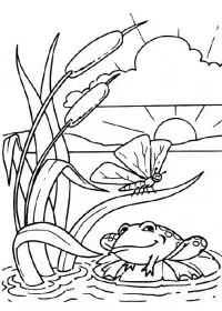 Fisă de colorat cu Animale broscute de colorat p106