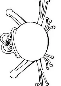 Fisă de colorat cu Animale broscute de colorat p14