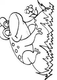 Fisă de colorat cu Animale broscute de colorat p16