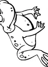 Fisă de colorat cu Animale broscute de colorat p19