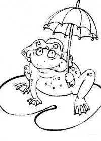 Fisă de colorat cu Animale broscute de colorat p22