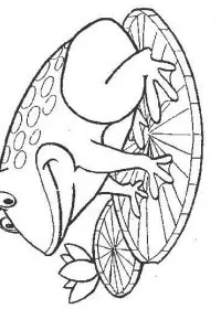 Fisă de colorat cu Animale broscute de colorat p26