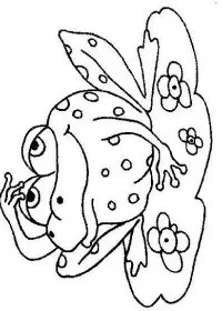 Fisă de colorat cu Animale broscute de colorat p29