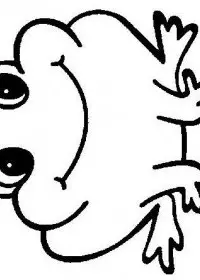 Fisă de colorat cu Animale broscute de colorat p33