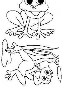 Fisă de colorat cu Animale broscute de colorat p40