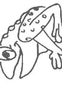 Fisă de colorat cu Animale broscute de colorat p44