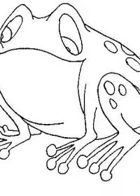 Fisă de colorat cu Animale broscute de colorat p47