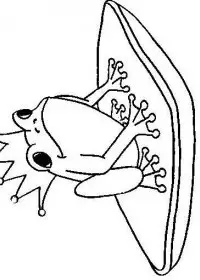 Fisă de colorat cu Animale broscute de colorat p50