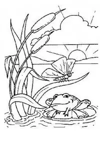 Fisă de colorat cu Animale broscute de colorat p51