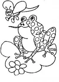 Fisă de colorat cu Animale broscute de colorat p52