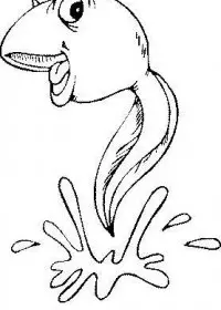 Fisă de colorat cu Animale broscute de colorat p58