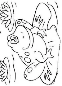 Fisă de colorat cu Animale broscute de colorat p60