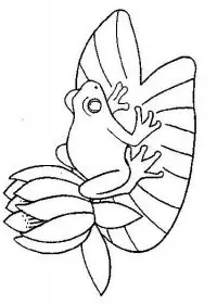 Fisă de colorat cu Animale broscute de colorat p63