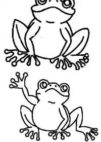 Fisă de colorat cu Animale broscute de colorat p67