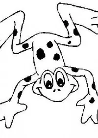 Fisă de colorat cu Animale broscute de colorat p68