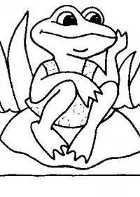 Fisă de colorat cu Animale broscute de colorat p70