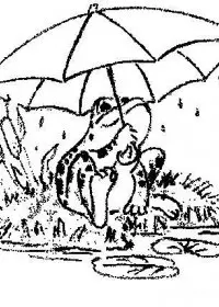 Fisă de colorat cu Animale broscute de colorat p76