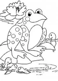 Fisă de colorat cu Animale broscute de colorat p77