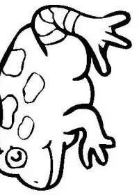 Fisă de colorat cu Animale broscute de colorat p78