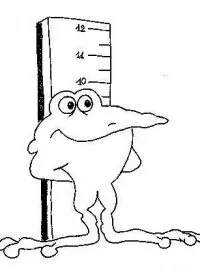 Fisă de colorat cu Animale broscute de colorat p79