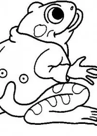 Fisă de colorat cu Animale broscute de colorat p85