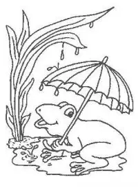 Fisă de colorat cu Animale broscute de colorat p87