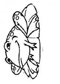 Fisă de colorat cu Animale broscute de colorat p94