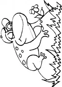 Fisă de colorat cu Animale broscute de colorat p98