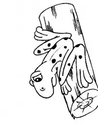 Fisă de colorat cu Animale broscute de colorat p99