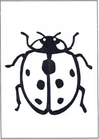 Fisă de colorat cu Animale buburuze de colorat p03