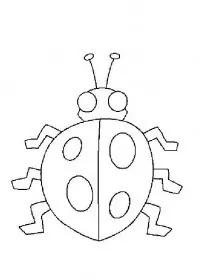 Fisă de colorat cu Animale buburuze de colorat p04