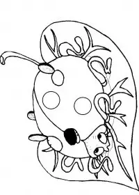 Fisă de colorat cu Animale buburuze de colorat p06