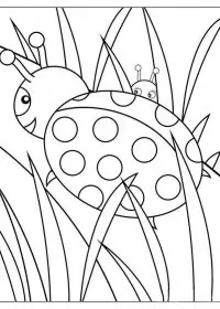 Fisă de colorat cu Animale buburuze de colorat p10