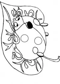 Fisă de colorat cu Animale buburuze de colorat p14