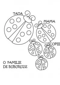 Fisă de colorat cu Animale buburuze de colorat p18