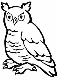 Fisă de colorat cu Animale bufnite de colorat p02
