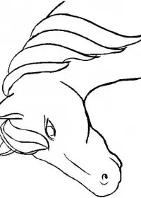 Fisă de colorat cu Animale cai de colorat p02